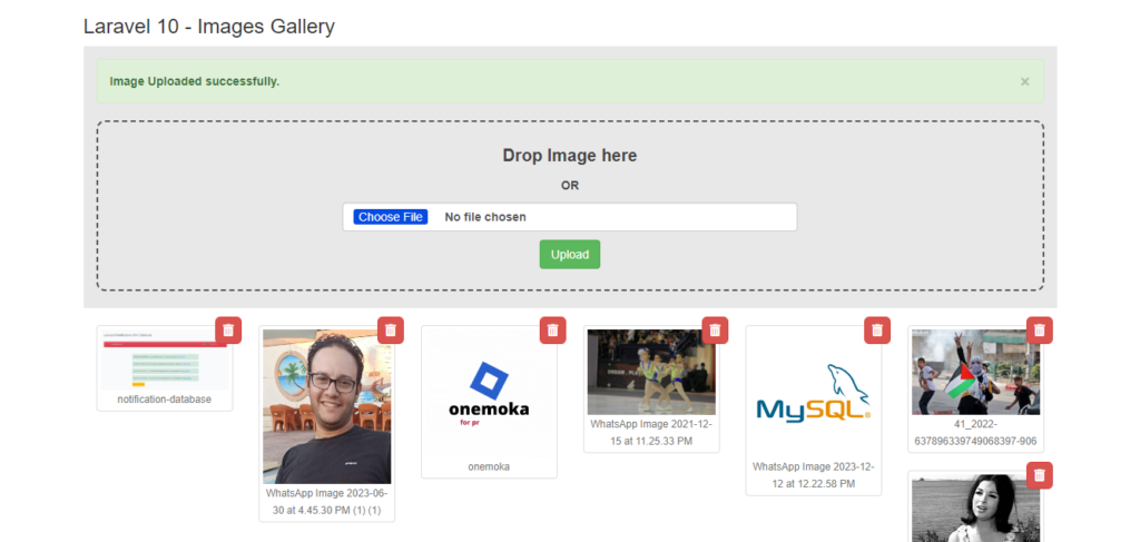 Laravel 10 Create image Gallery